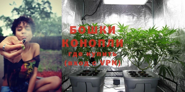гидропоника Ельня