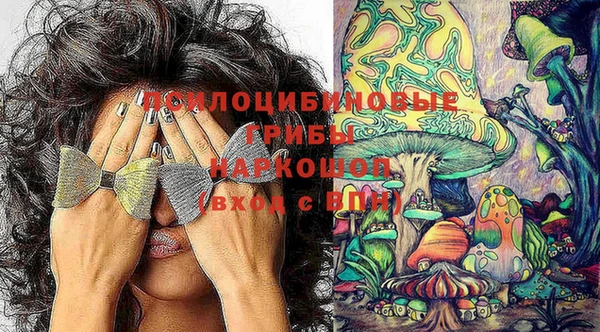 гидропоника Ельня