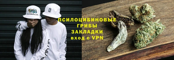 гидропоника Ельня