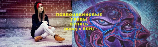 гидропоника Ельня