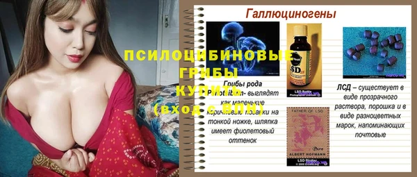 гидропоника Ельня