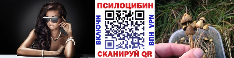 Галлюциногенные грибы Magic Shrooms  Купить где  Камень-на-Оби 